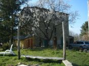 Immobiliare Prestigio Monte Amiata
