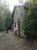 Immobiliare Prestigio Monte Amiata